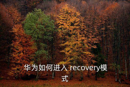  华为如何进入 recovery模式