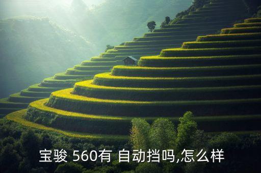 宝骏560有自动档吗,上汽五菱全新车型命名为宝骏560