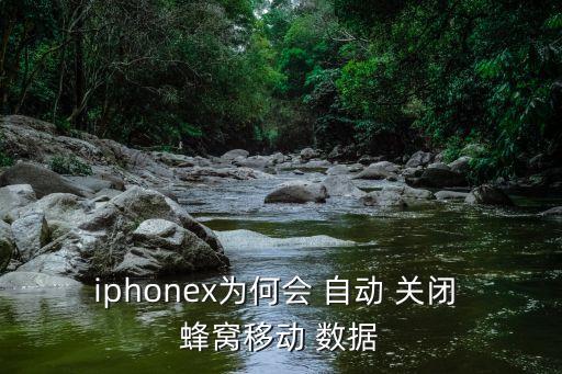 iphonex为何会 自动 关闭 蜂窝移动 数据