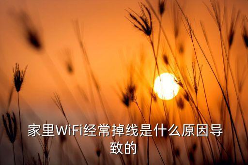  家里wifi经常掉线是什么原因导致的