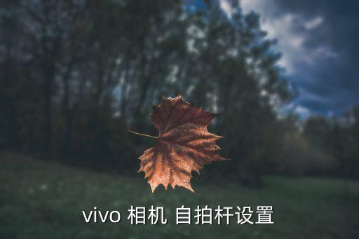 vivo 相机 自拍杆设置