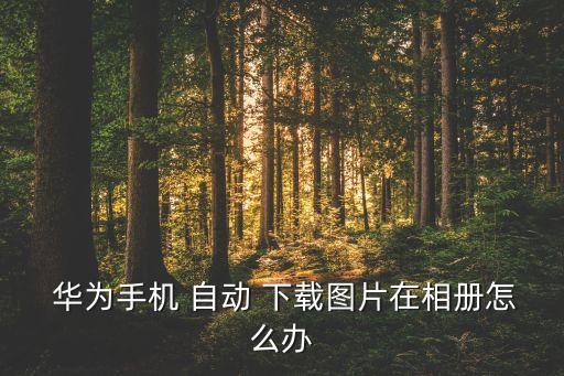 华为p10自动下载杂志,如何关闭杂志锁屏?方法如下