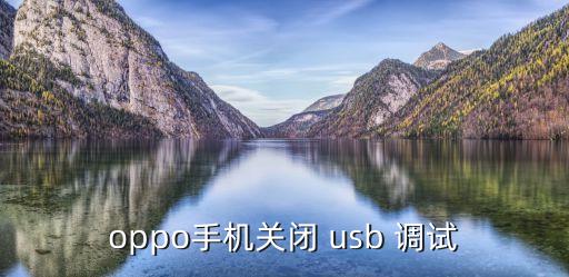 oppo手机关闭 usb 调试