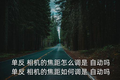  单反 相机的焦距怎么调是 自动吗 单反 相机的焦距如何调是 自动吗