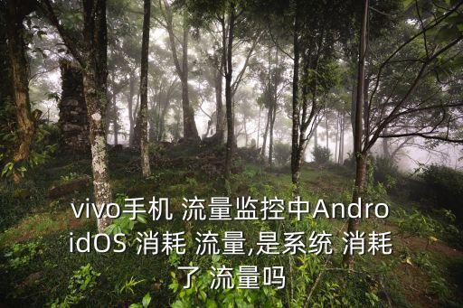 vivo手机 流量监控中androidos 消耗 流量,是系统 消耗了 流量吗