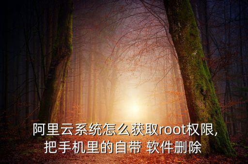  阿里云系统怎么获取root权限,把手机里的自带 软件删除