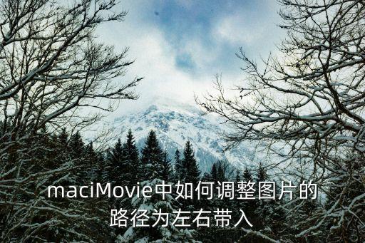 imovie 图片自动放大,怎么用imovie看图说话?