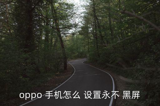 oppo 手机怎么 设置永不 黑屏