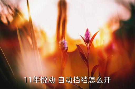 11年悦动 自动挡裆怎么开