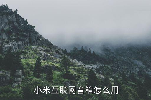  小米互联网音箱怎么用