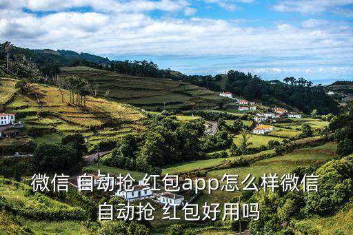 微信 自动抢 红包app怎么样微信 自动抢 红包好用吗