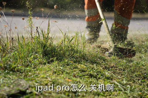  ipad pro怎么 关机啊