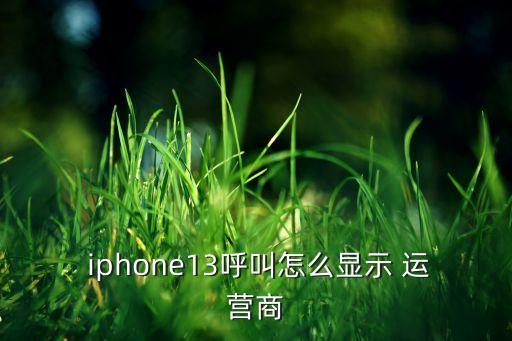  iphone13呼叫怎么显示 运营商