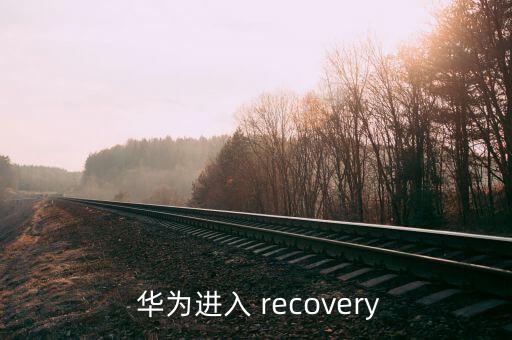  华为进入 recovery