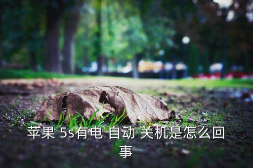 苹果 5s有电 自动 关机是怎么回事