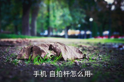 手机 自拍杆怎么用