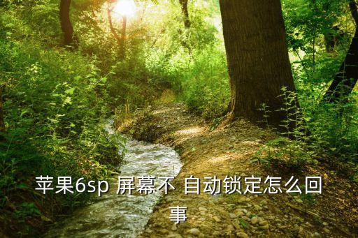 苹果6sp 屏幕不 自动锁定怎么回事