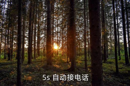  5s 自动接电话