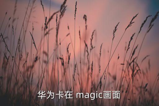 华为卡在 magic画面