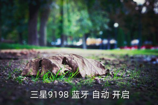  三星9198 蓝牙 自动 开启