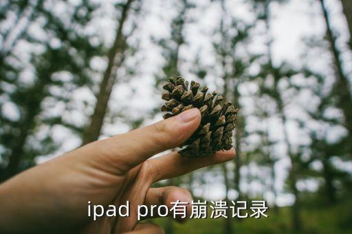  ipad pro有崩溃记录