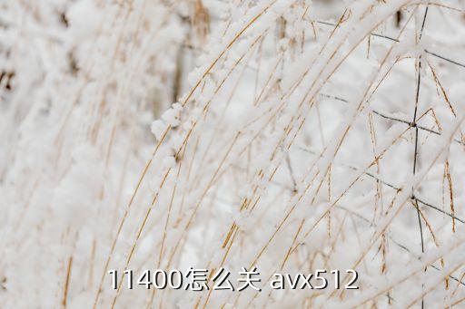 11400怎么关 avx512