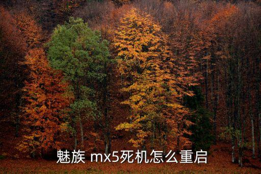  魅族 mx5死机怎么重启