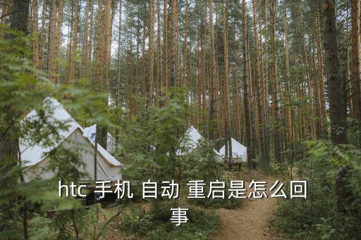 htc手机经常自动重启,手机重启过程如何进行?