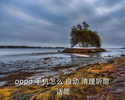 oppo 手机怎么 自动 清理听筒 话筒