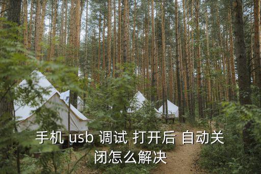 手机 usb 调试 打开后 自动关闭怎么解决