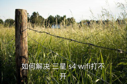 如何解决 三星 s4 wifi打不开