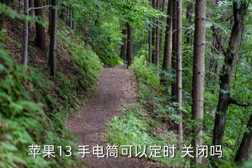 苹果13 手电筒可以定时 关闭吗