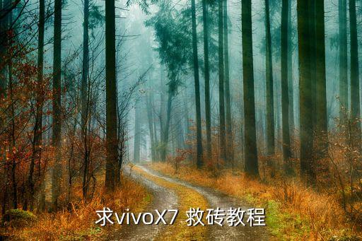 求vivox7 救砖教程