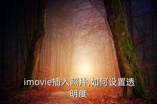  imovie插入照片,如何设置透明度