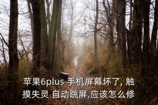 苹果6plus 手机屏幕坏了, 触摸失灵 自动跳屏,应该怎么修