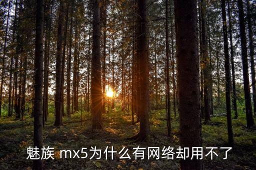  魅族 mx5为什么有网络却用不了