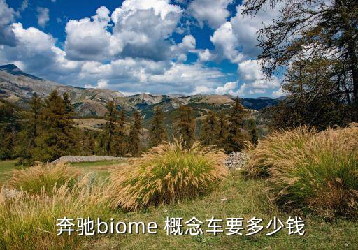  奔驰biome 概念车要多少钱