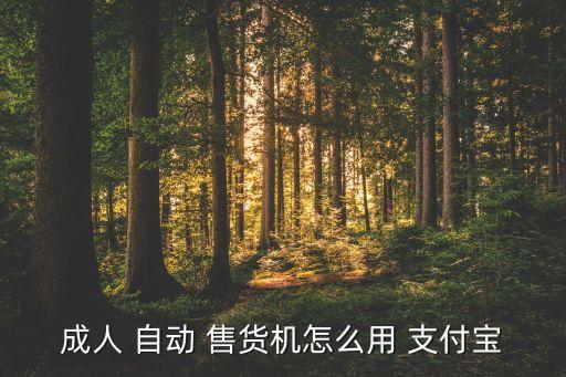 成人 自动 售货机怎么用 支付宝