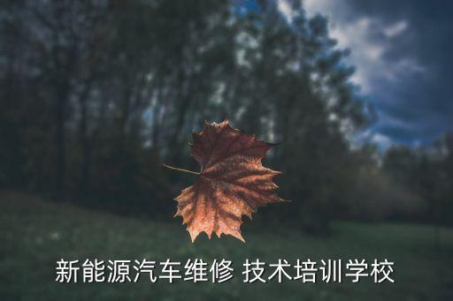 新能源汽车维修 技术培训学校