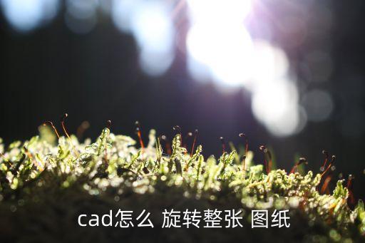 自动旋转喷头的cad图纸,如何画出火符图纸?