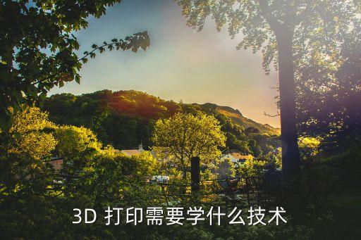 3d 打印需要学什么技术