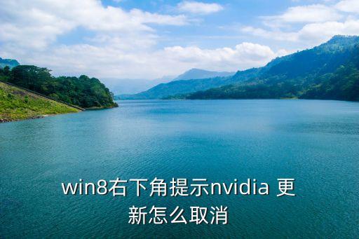 win8右下角提示nvidia 更新怎么取消