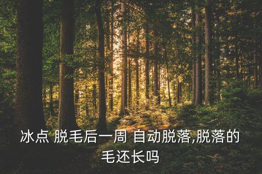 冰点 脱毛后一周 自动脱落,脱落的毛还长吗