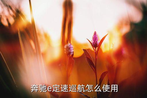  奔驰e定速巡航怎么使用