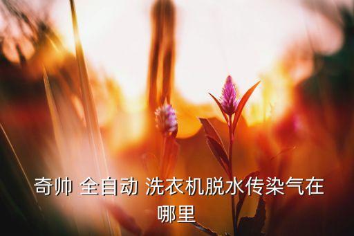 奇帅全自动洗衣机图片,全自动洗衣机开门没反应原因何在?