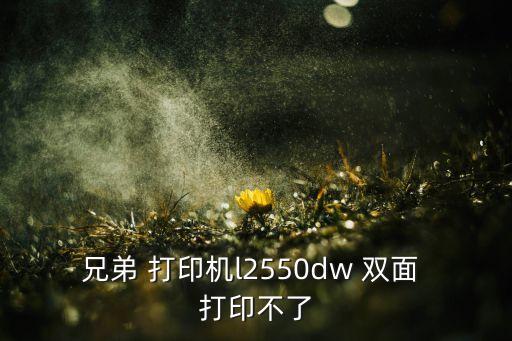 兄弟 打印机l2550dw 双面 打印不了