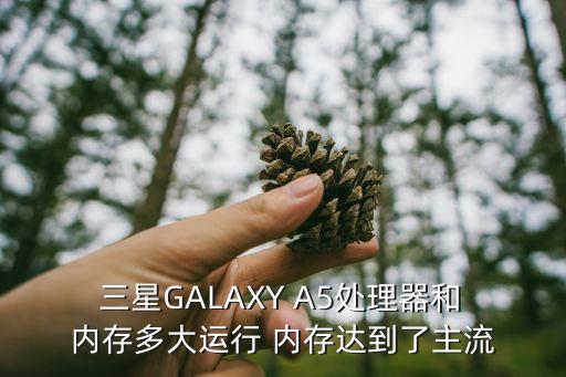  三星galaxy a5处理器和 内存多大运行 内存达到了主流