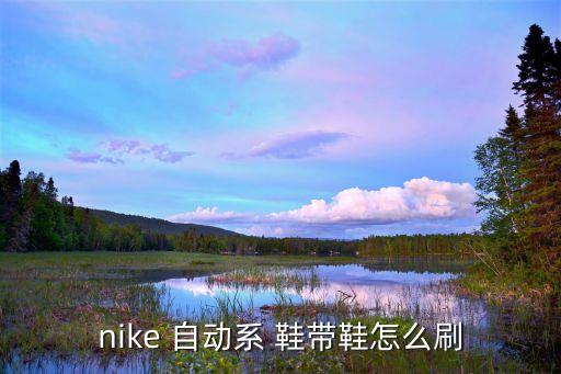 nike 自动系 鞋带鞋怎么刷