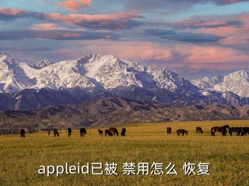 appleid已被 禁用怎么 恢复