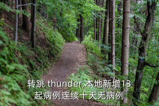 自动转跳 thunder,本地新增13起病例连续十天无病例